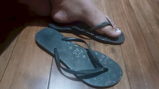 Chinelo havaianas gatinho 