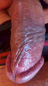 CUECA MELADA DE PORRA