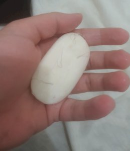 Sabonete usado com pelinhos pubianos