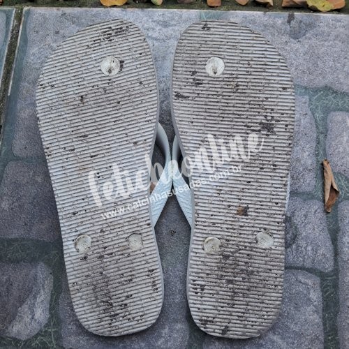 Podolatria: Meias ou Pelinhas raspadas do pé ou Havaianas ou Tênis usados por quanto tempo você quiser + conteúdo virtual incluso + frete grátis acima de R$200,00!